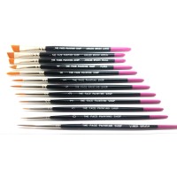 The Face Painting Shop Pro Set of Brushes (The Face Painting Shop Pro Set of Brushes + SOAP)